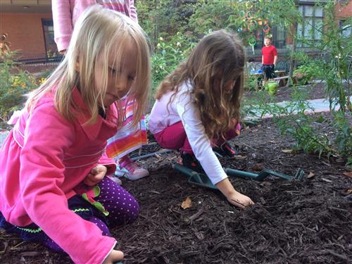 Outdoor Classroom