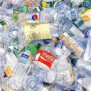 Plastic Bottles 